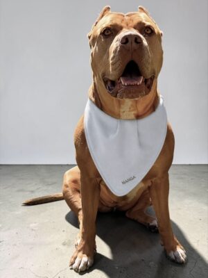 Nanga Reflective Bandana